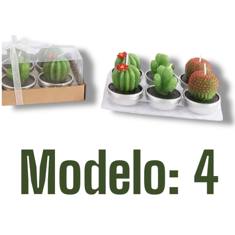 Velitas aromáticas mini cactus suculentas 6pzs.