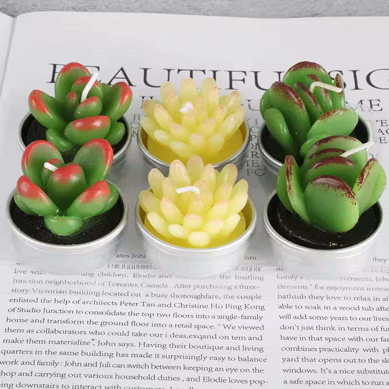 Velitas aromáticas mini cactus suculentas 6pzs.