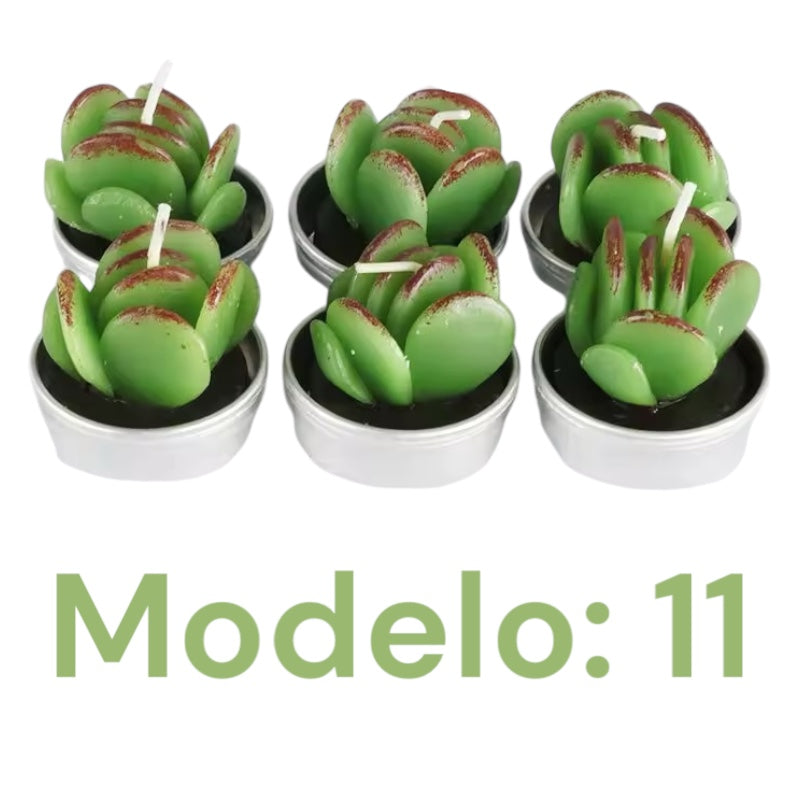 Velitas aromáticas mini cactus suculentas 6pzs.
