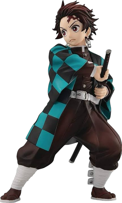 Cosplay Tanjiro top y short