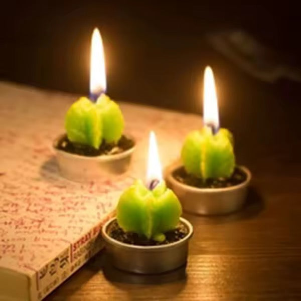 Velitas aromáticas mini cactus suculentas 6pzs.