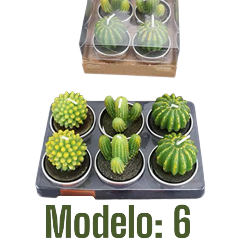 Velitas aromáticas mini cactus suculentas 6pzs.