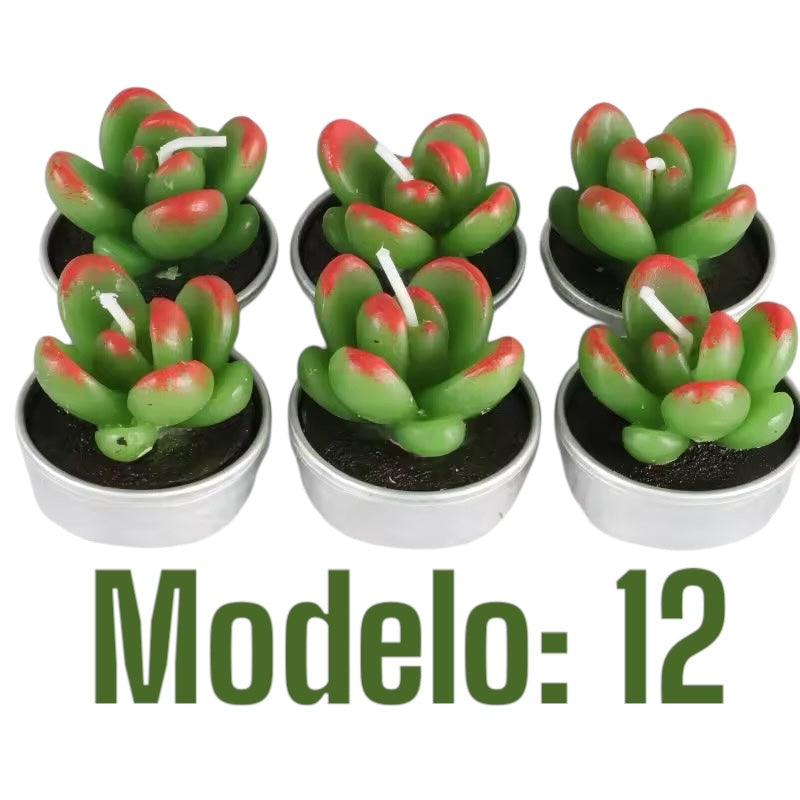 Velitas aromáticas mini cactus suculentas 6pzs.