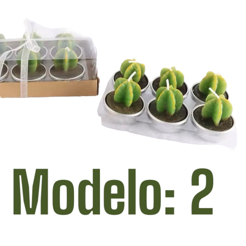 Velitas aromáticas mini cactus suculentas 6pzs.