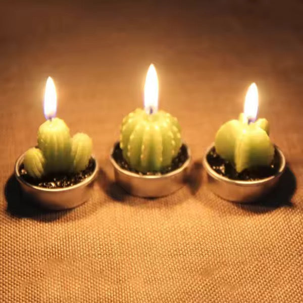 Velitas aromáticas mini cactus suculentas 6pzs.