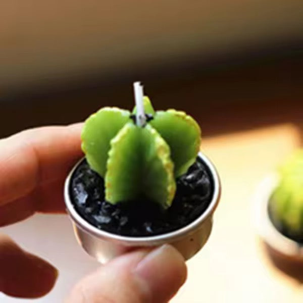 Velitas aromáticas mini cactus suculentas 6pzs.