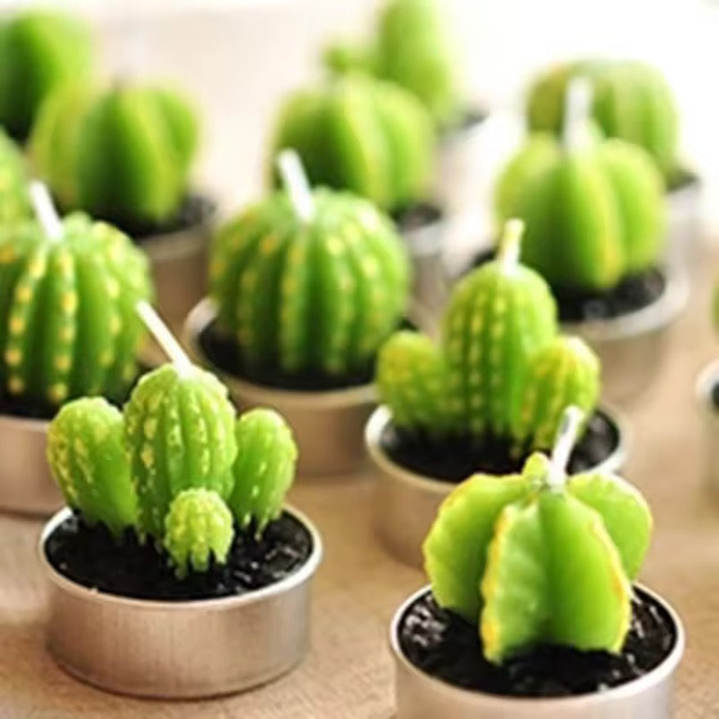 Velitas aromáticas mini cactus suculentas 6pzs.