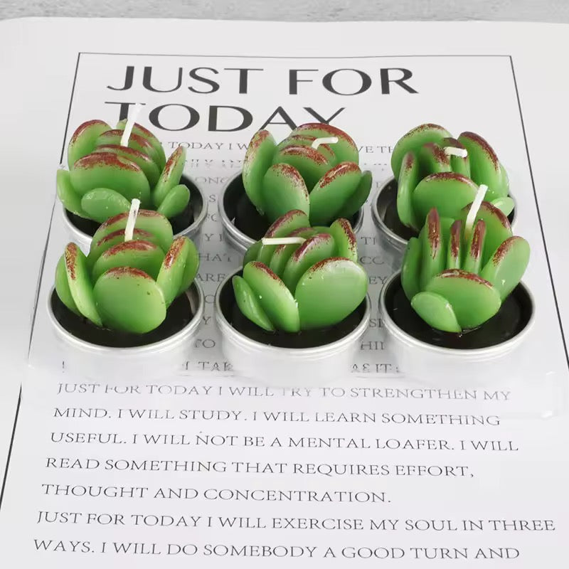Velitas aromáticas mini cactus suculentas 6pzs.