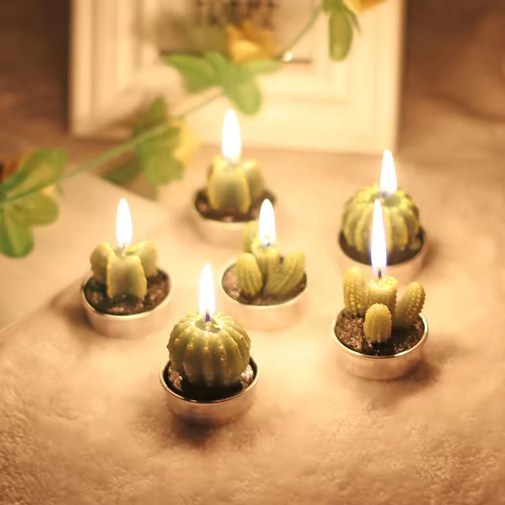Velitas aromáticas mini cactus suculentas 6pzs.