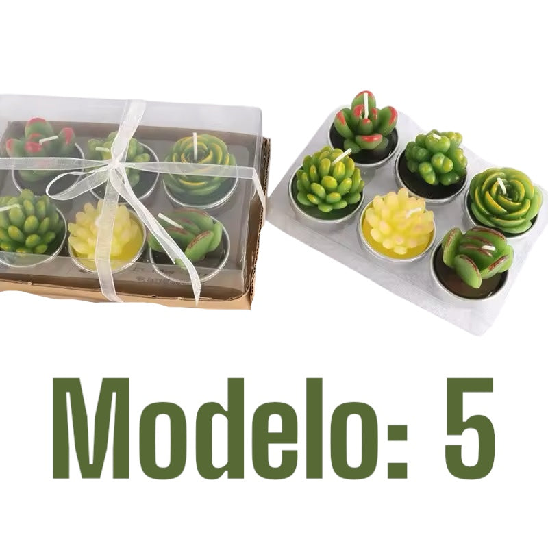 Velitas aromáticas mini cactus suculentas 6pzs.