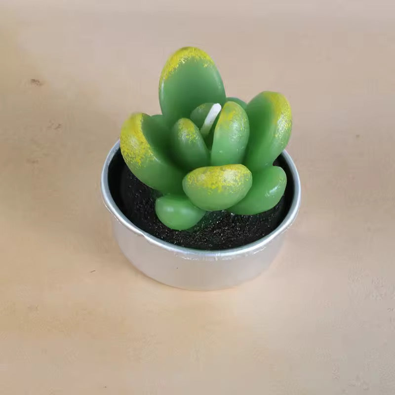 Velitas aromáticas mini cactus suculentas 6pzs.