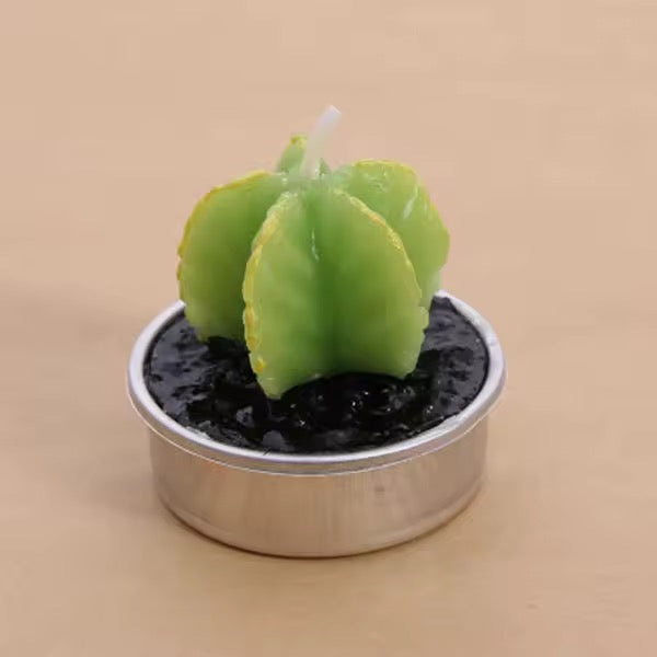 Velitas aromáticas mini cactus suculentas 6pzs.