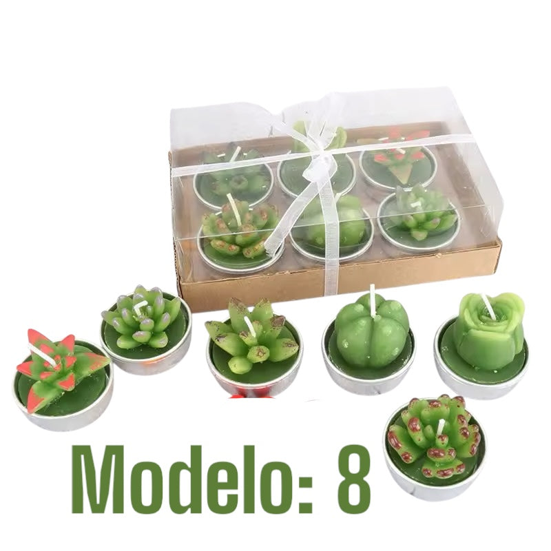 Velitas aromáticas mini cactus suculentas 6pzs.