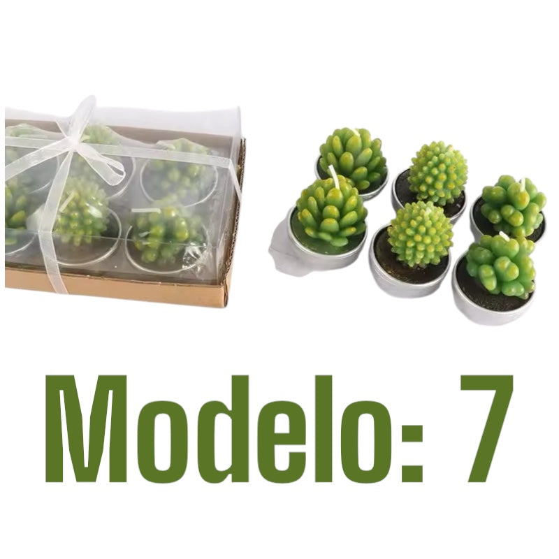 Velitas aromáticas mini cactus suculentas 6pzs.